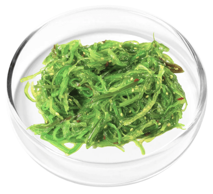 Chlorella