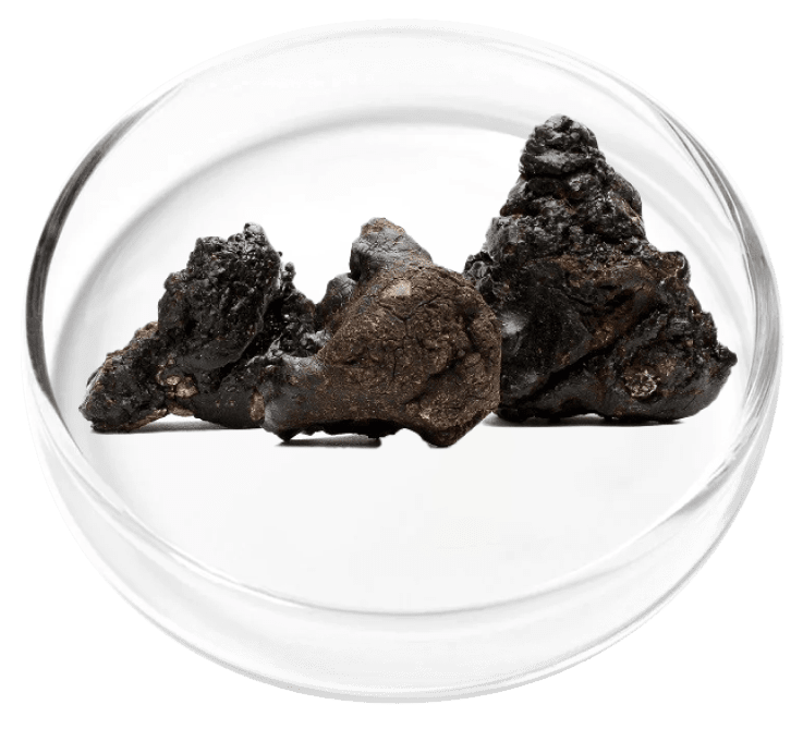 Shilajit